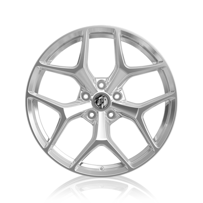 GTSR SF 20" - Polished