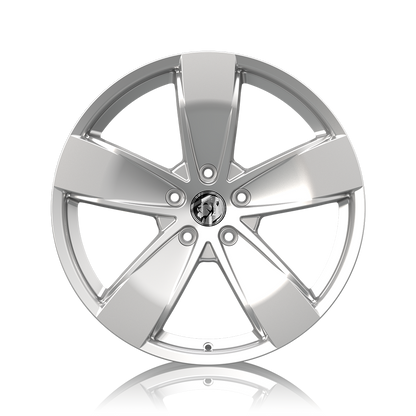 SS-Y 20" - Gloss Silver