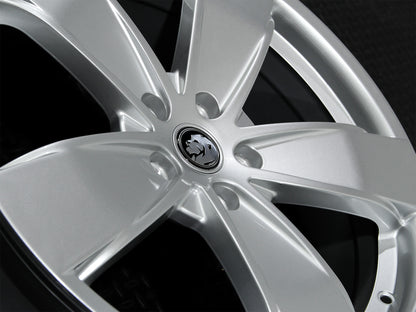 SS-Y 20" - Gloss Silver